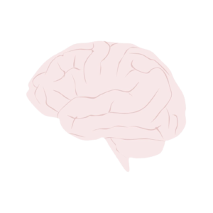 El cerebro de Phineas Gage
