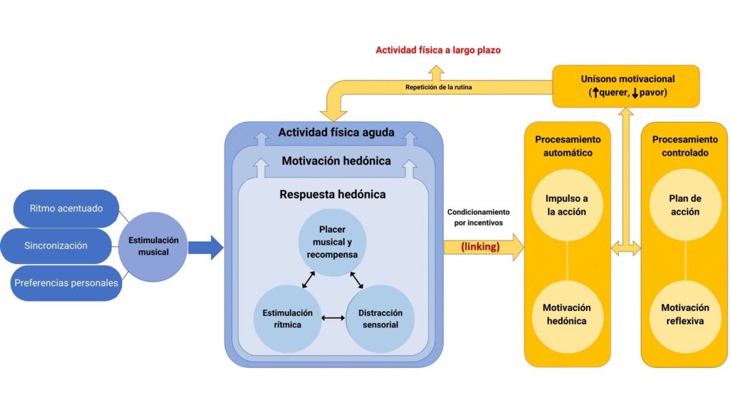 Esquema del modelo teórico de la terapia musical como estimulante afectivo de la actividad física