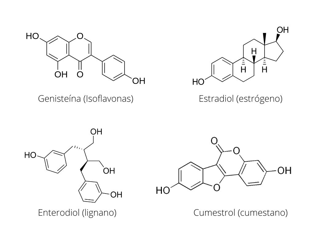 Representación de la estructura química de algunos fitoestrógenos